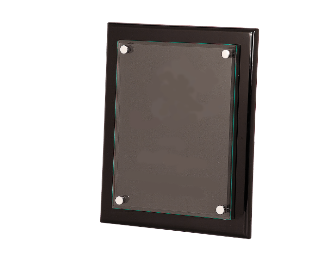 Floating Glass Plaque